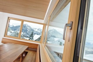 Detalle ventana